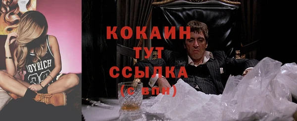дмт Арсеньев