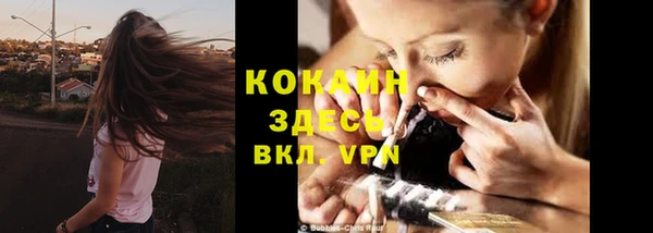 прущая мука Армянск
