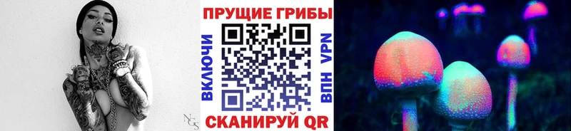 продажа наркотиков  Усть-Джегута  Галлюциногенные грибы Cubensis 